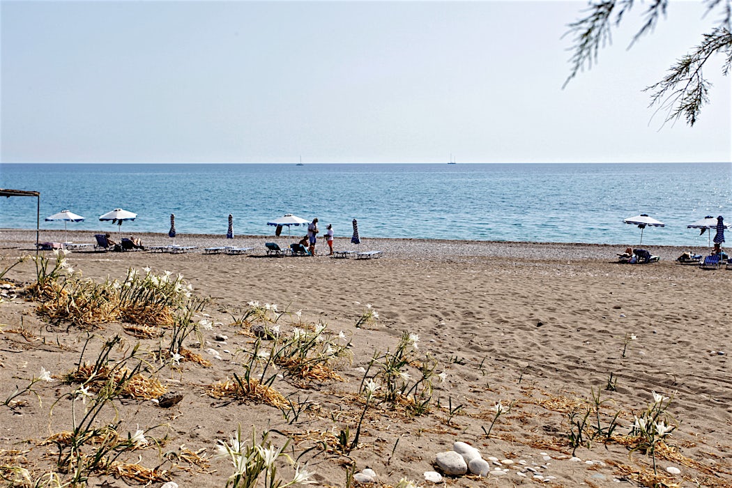ranta-afandoussa-rodos-tui