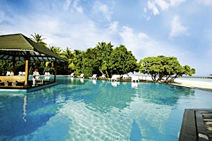 Uima-allas ja swim up -baari aivan meren äärellä vehreällä hotellialueella.