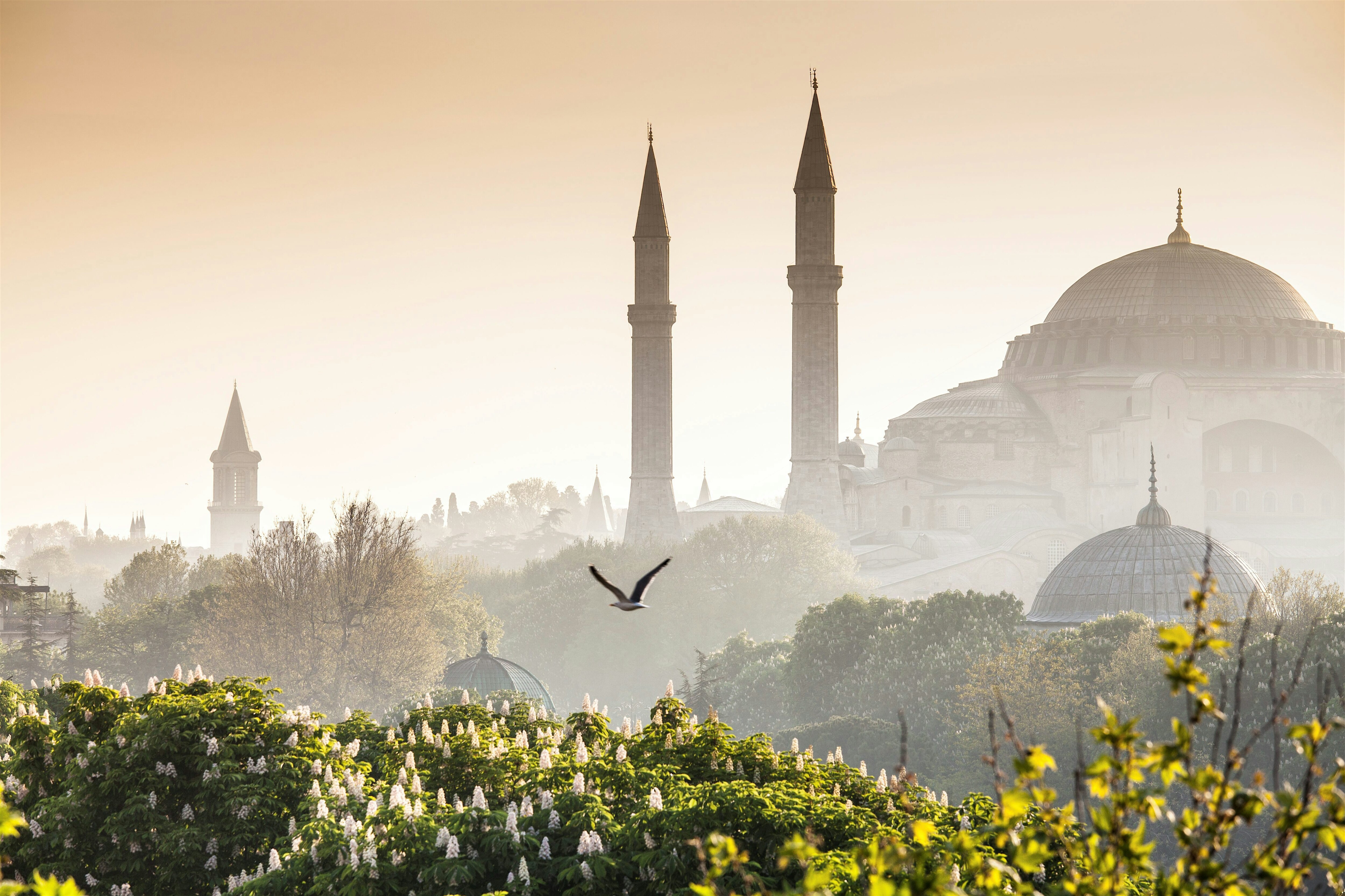 Hagia Sofia sumuisessa maisemassa, vehreää kasillisuutta etualalla.