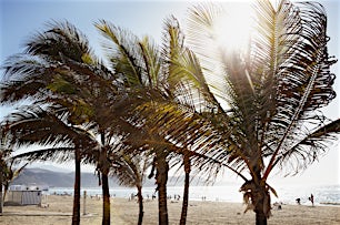 las-canteras-las-palmas-gran-canaria