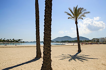 port-d-alcudian-ranta-mallorca-tui