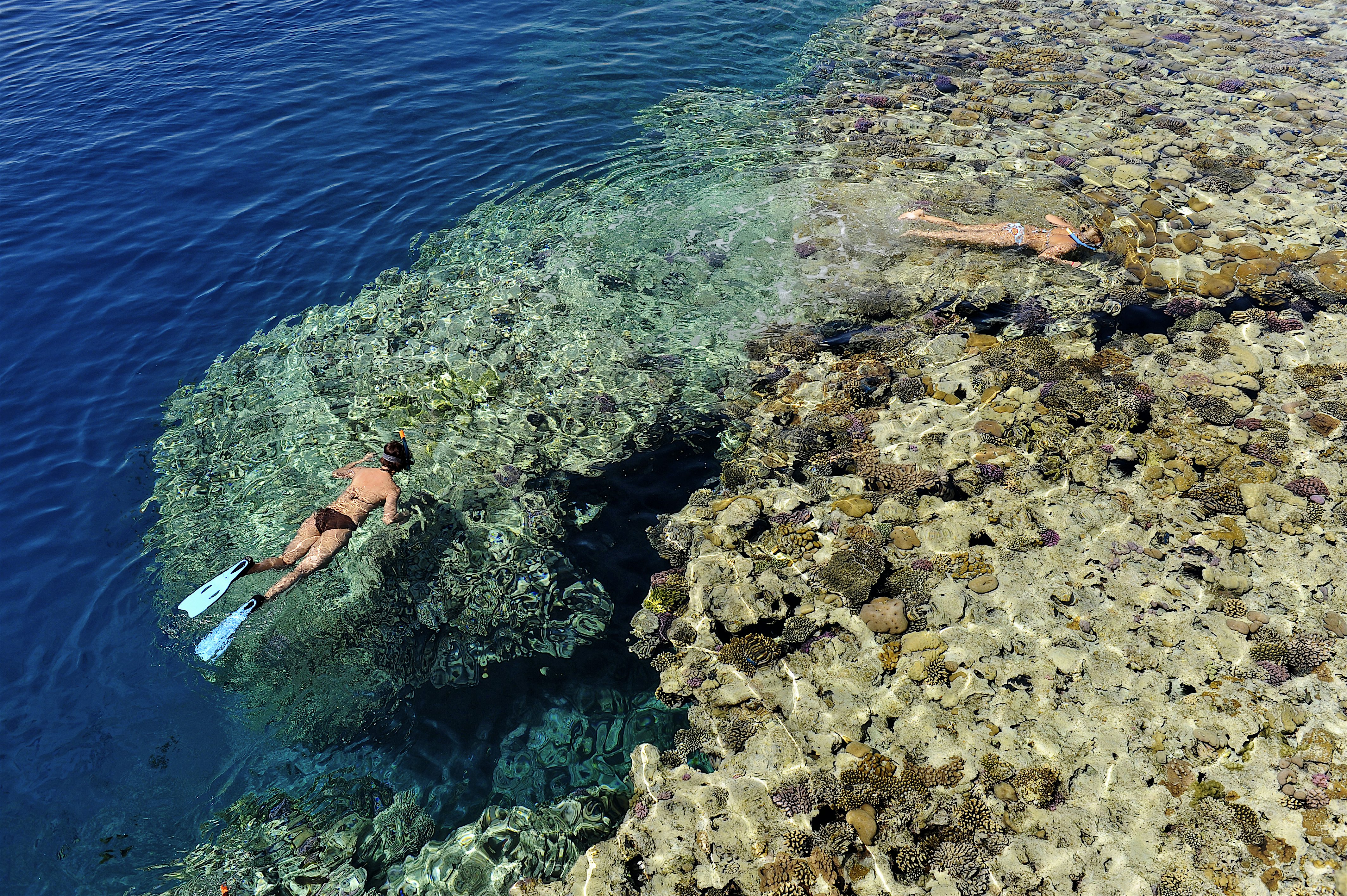 snorklausta-punainenmeri-egypti-tui