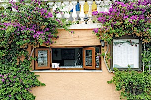 ravintolan julkisivu, bougainvillea-kasvi koristaa seinää