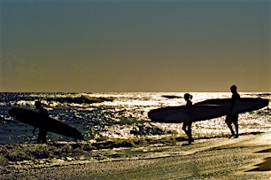 surffaajia kantamassa lautojaan auringonlaskussa kimaltelevassa meressä