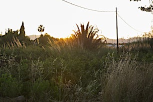 auringonlasku-alcudiassa-mallorca-tui