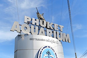 Phuket Aquarium -kyltti sinistä taivasta vasten.