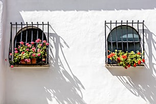 julkisivu-positano-amalfin-rannikko-italia-tui