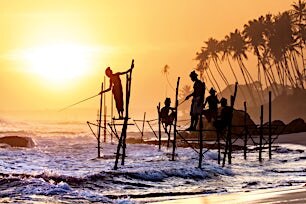 Perinteiset srilankalaiset kalastajat paaluilla auringonlaskussa