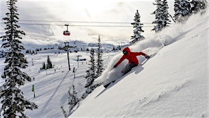 Whistler